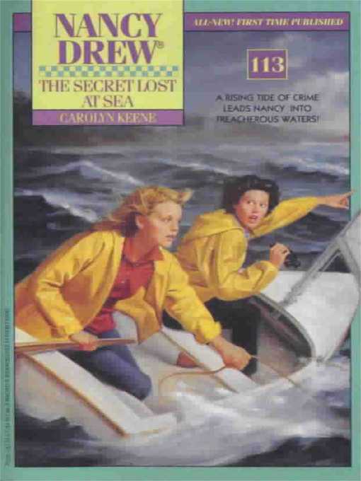Cover image for The Secret Lost at Sea